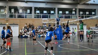 Finales Voleibol