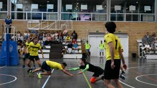 Finales Voleibol