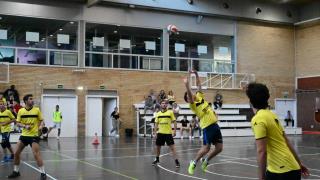 Finales Voleibol
