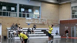 Finales Voleibol