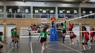 Final Voleibol Veterinaria-Derecho