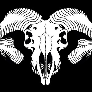 VETERINARIA RUF