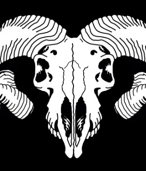 VETERINARIA RUF - uniforme 1