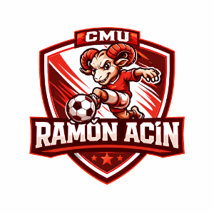 RAMÓN ACÍN HU FSF